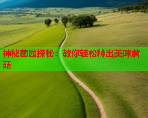 神秘菌园探秘：教你轻松种出美味蘑菇