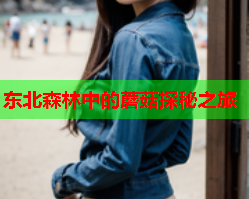 东北森林中的蘑菇探秘之旅
