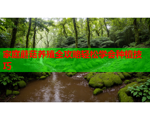 家庭蘑菇养殖全攻略轻松学会种植技巧