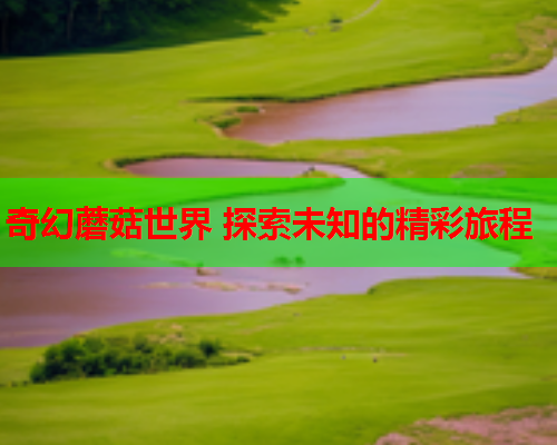 奇幻蘑菇世界 探索未知的精彩旅程