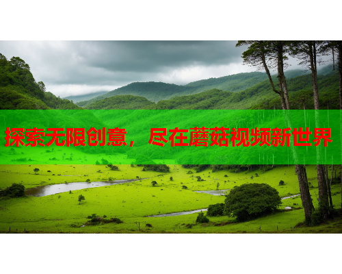 探索无限创意，尽在蘑菇视频新世界