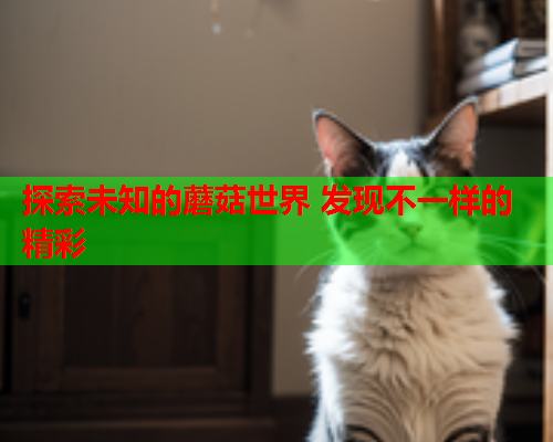 探索未知的蘑菇世界 发现不一样的精彩