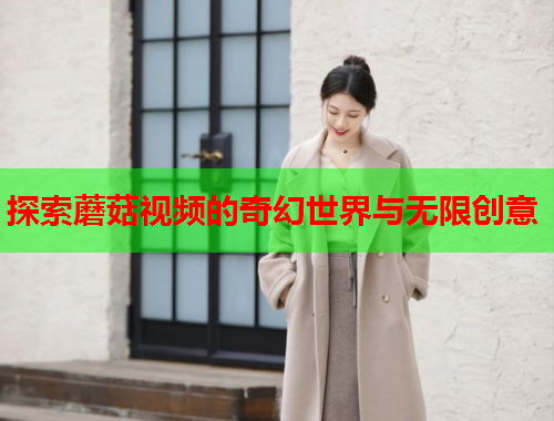 探索蘑菇视频的奇幻世界与无限创意
