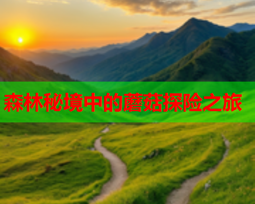 森林秘境中的蘑菇探险之旅