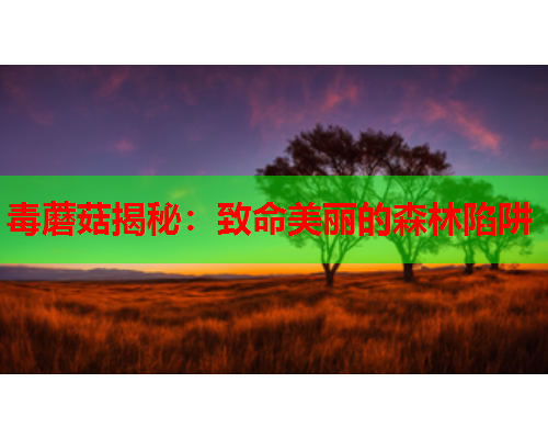 毒蘑菇揭秘：致命美丽的森林陷阱