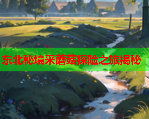 东北秘境采蘑菇探险之旅揭秘