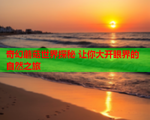 奇幻蘑菇世界探秘 让你大开眼界的自然之旅