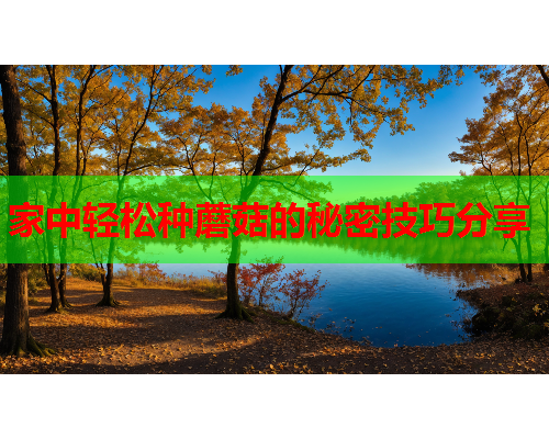 家中轻松种蘑菇的秘密技巧分享