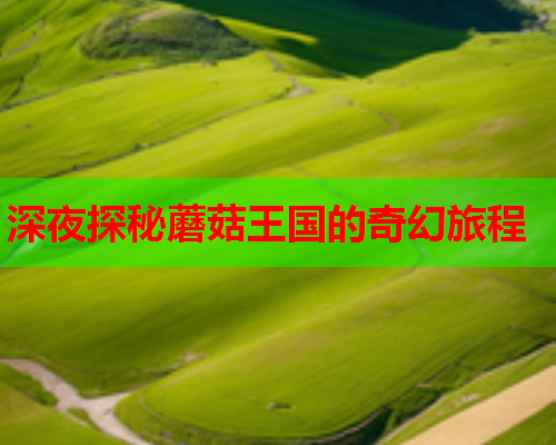 深夜探秘蘑菇王国的奇幻旅程
