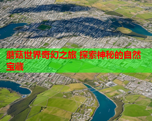 蘑菇世界奇幻之旅 探索神秘的自然宝藏