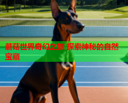 蘑菇世界奇幻之旅 探索神秘的自然宝藏