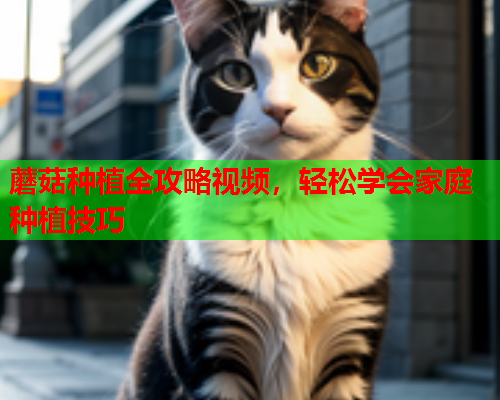 蘑菇种植全攻略视频，轻松学会家庭种植技巧