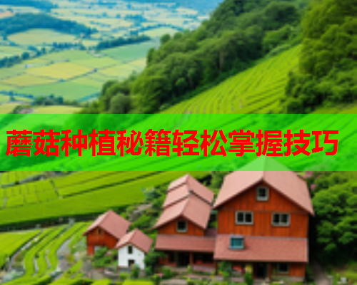蘑菇种植秘籍轻松掌握技巧