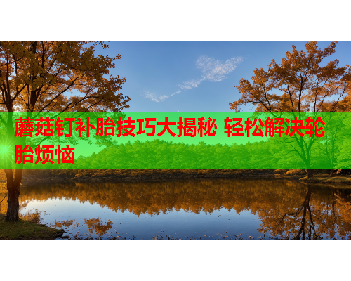 蘑菇钉补胎技巧大揭秘 轻松解决轮胎烦恼