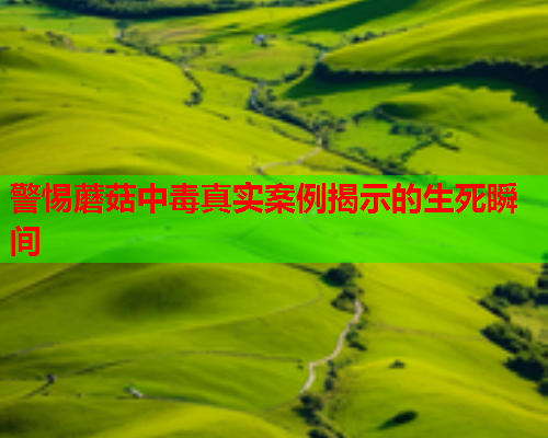 警惕蘑菇中毒真实案例揭示的生死瞬间