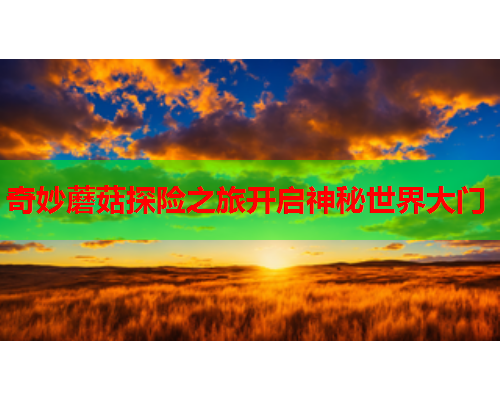 奇妙蘑菇探险之旅开启神秘世界大门
