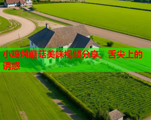 小鸡炖蘑菇美味视频分享，舌尖上的诱惑