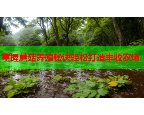 掌握蘑菇养殖秘诀轻松打造丰收农场