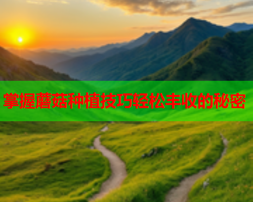 掌握蘑菇种植技巧轻松丰收的秘密