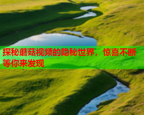 探秘蘑菇视频的隐秘世界，惊喜不断等你来发现