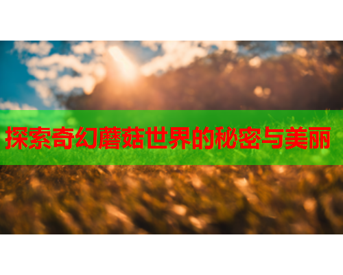 探索奇幻蘑菇世界的秘密与美丽