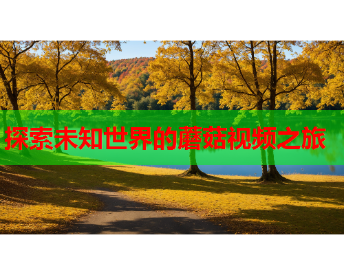 探索未知世界的蘑菇视频之旅