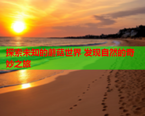 探索未知的蘑菇世界 发现自然的奇妙之旅