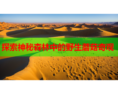 探索神秘森林中的野生蘑菇奇观