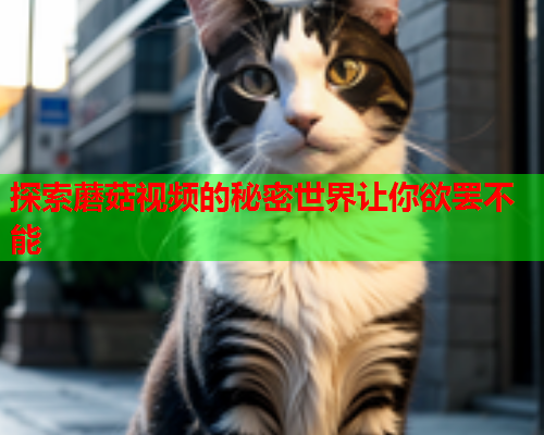探索蘑菇视频的秘密世界让你欲罢不能