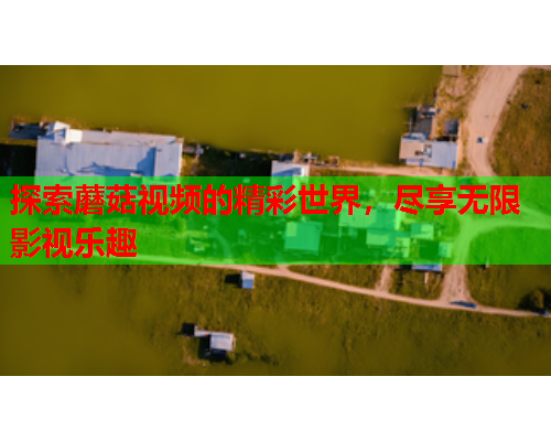 探索蘑菇视频的精彩世界，尽享无限影视乐趣