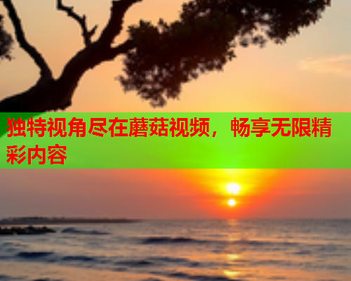独特视角尽在蘑菇视频，畅享无限精彩内容
