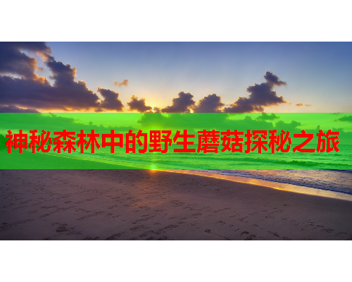 神秘森林中的野生蘑菇探秘之旅