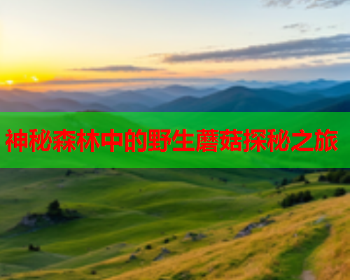 神秘森林中的野生蘑菇探秘之旅
