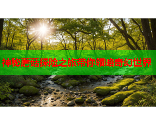 神秘蘑菇探险之旅带你领略奇幻世界