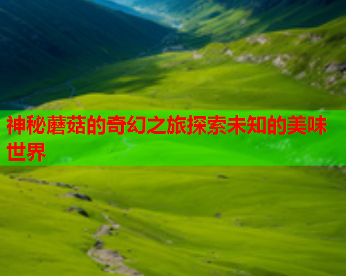 神秘蘑菇的奇幻之旅探索未知的美味世界