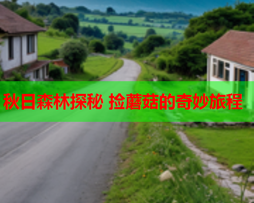 秋日森林探秘 捡蘑菇的奇妙旅程