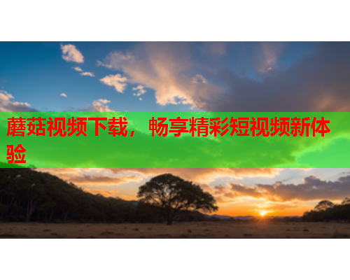 蘑菇视频下载，畅享精彩短视频新体验