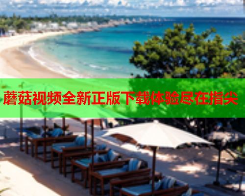 蘑菇视频全新正版下载体验尽在指尖