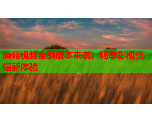 蘑菇视频全新版本来袭，畅享影视剪辑新体验