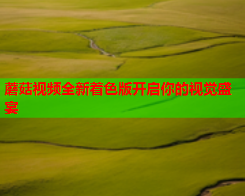 蘑菇视频全新着色版开启你的视觉盛宴
