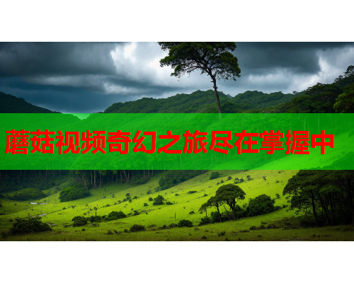 蘑菇视频奇幻之旅尽在掌握中