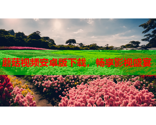 蘑菇视频安卓版下载，畅享影视盛宴
