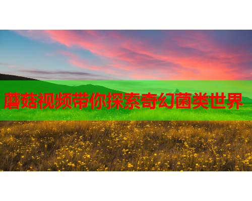 蘑菇视频带你探索奇幻菌类世界