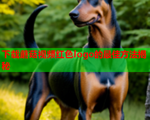 下载蘑菇视频红色logo的最佳方法揭秘