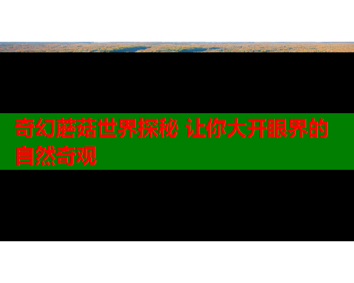 奇幻蘑菇世界探秘 让你大开眼界的自然奇观