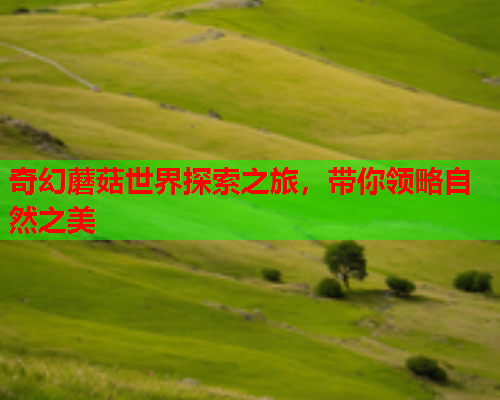 奇幻蘑菇世界探索之旅，带你领略自然之美