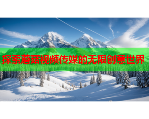 探索蘑菇视频传媒的无限创意世界