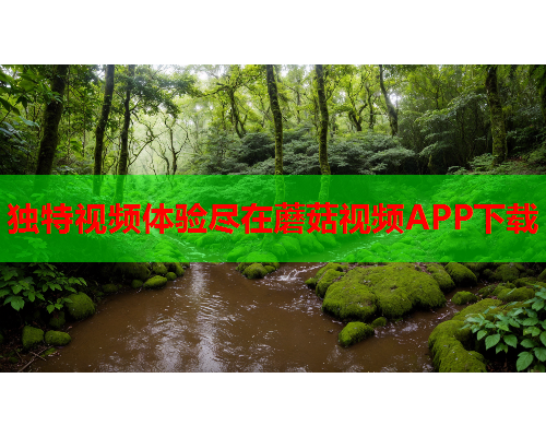 独特视频体验尽在蘑菇视频APP下载