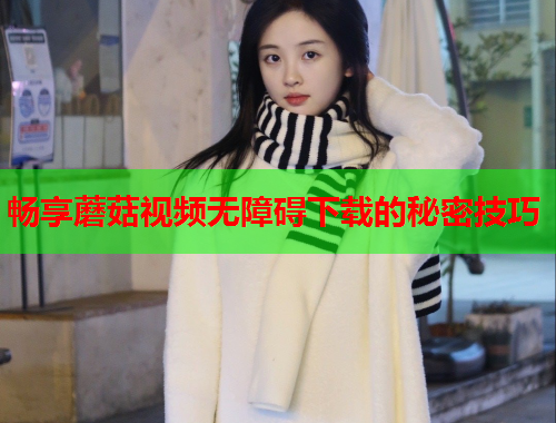 畅享蘑菇视频无障碍下载的秘密技巧