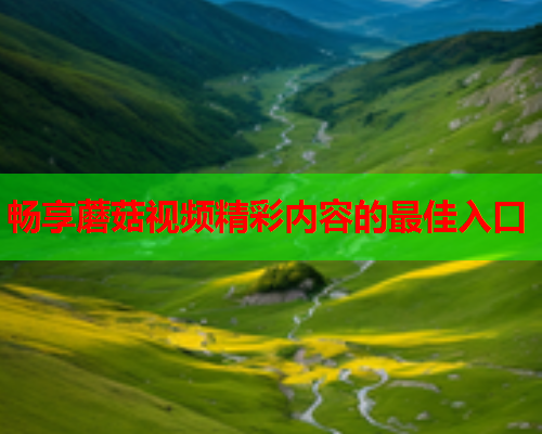 畅享蘑菇视频精彩内容的最佳入口